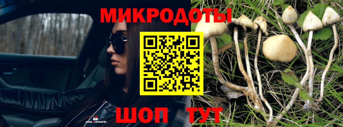 Тосно  Галлюциногенные грибы Cubensis  Вход с VPN  Галлюциногенные грибы прущие грибы 