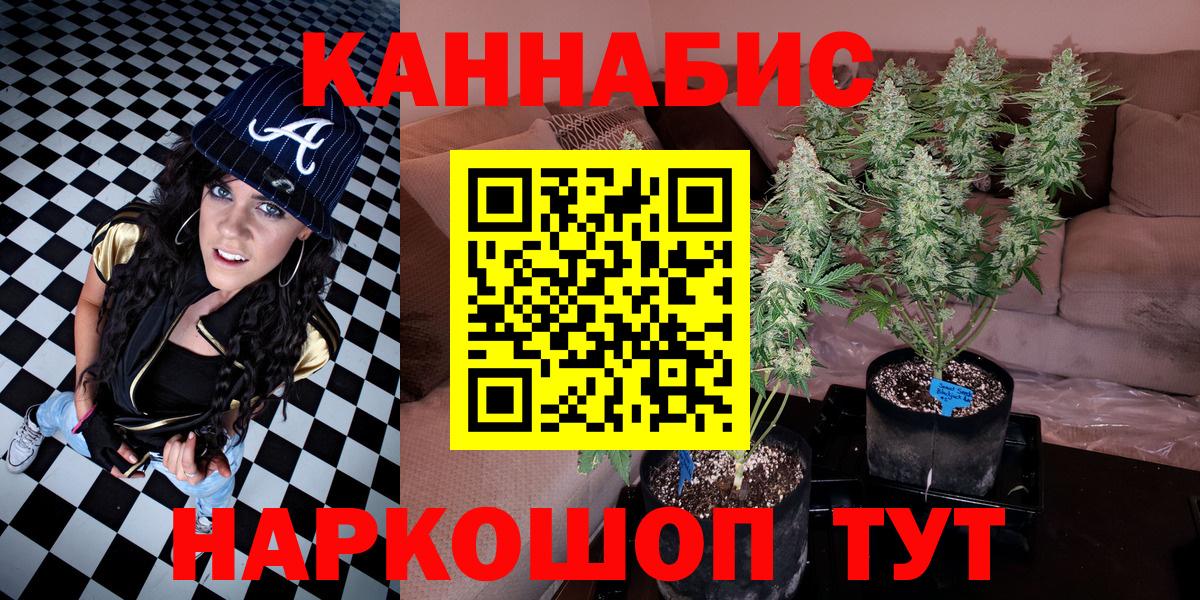 Шишки марихуана конопля  Конопля VHQ  Вход с VPN  Канабис LSD WEED  МАРИХУАНА Bruce Banner  Тосно 